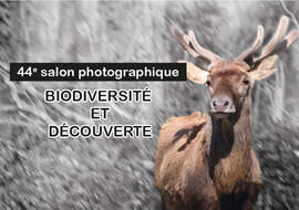 Bandeau du 44e salon photographique « Biodiversité et découverte » : un cerf en couleur sur fond de forêt en noir et blanc, avec les logos de la Ville de Villiers-le-Bel et des partenaires.