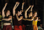 Image d'illustration de Spectacle de cirque : Situ